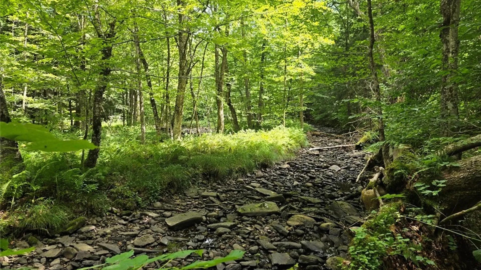Property at 2898 Potter Road, Osceola, NY 13437 25