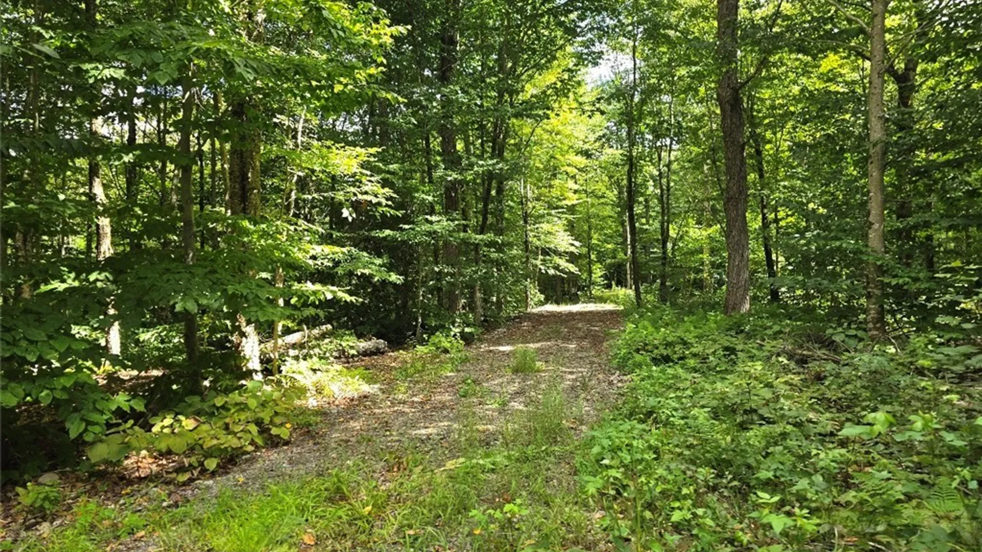Property at 2898 Potter Road, Osceola, NY 13437 29