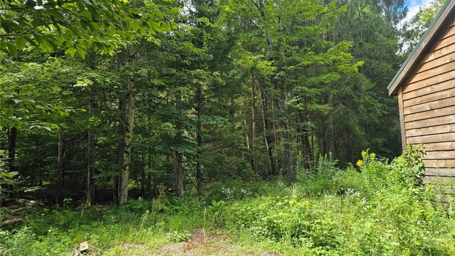 Property at 2898 Potter Road, Osceola, NY 13437 31