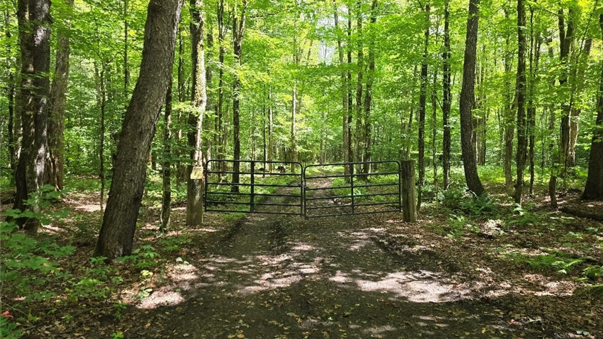 Property at 2898 Potter Road, Osceola, NY 13437 32