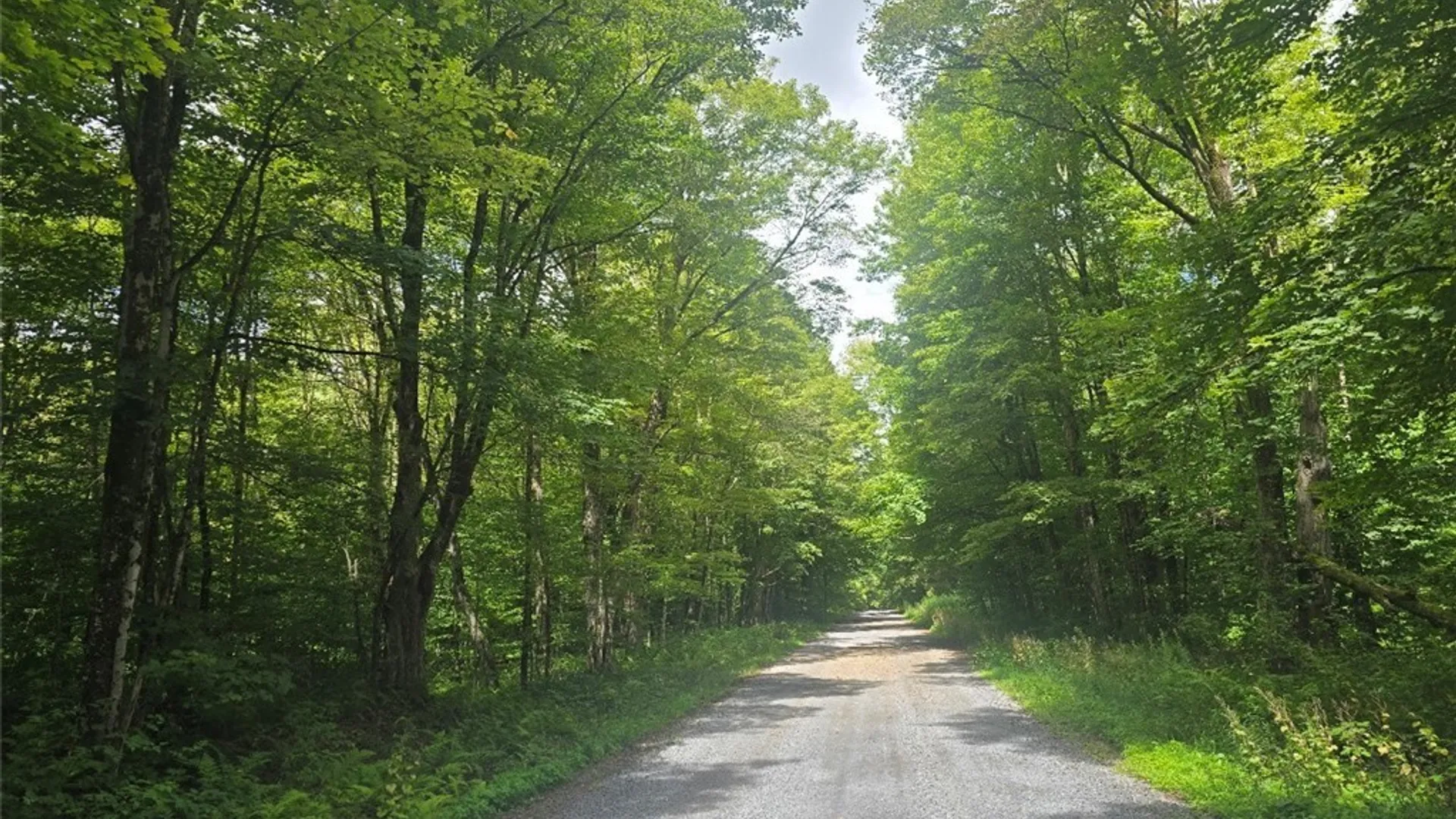 Property at 2898 Potter Road, Osceola, NY 13437 33