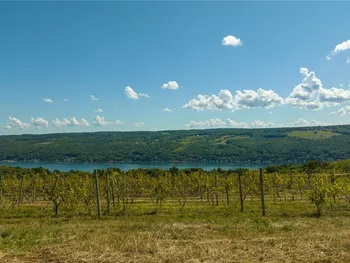 Lot A County Route 76, Urbana, NY 14840