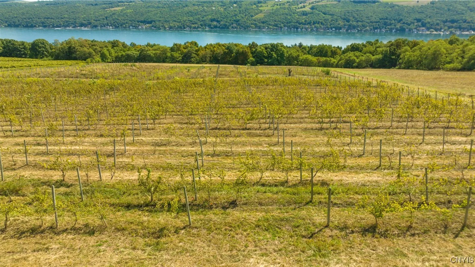 Property at Lot A County Route 76, Urbana, NY 14840 3