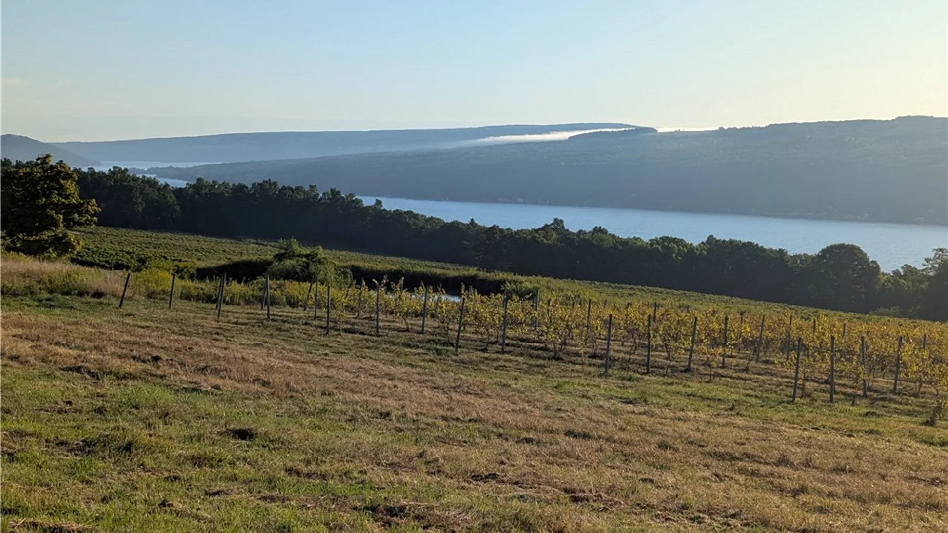 Property at Lot A County Route 76, Urbana, NY 14840 7