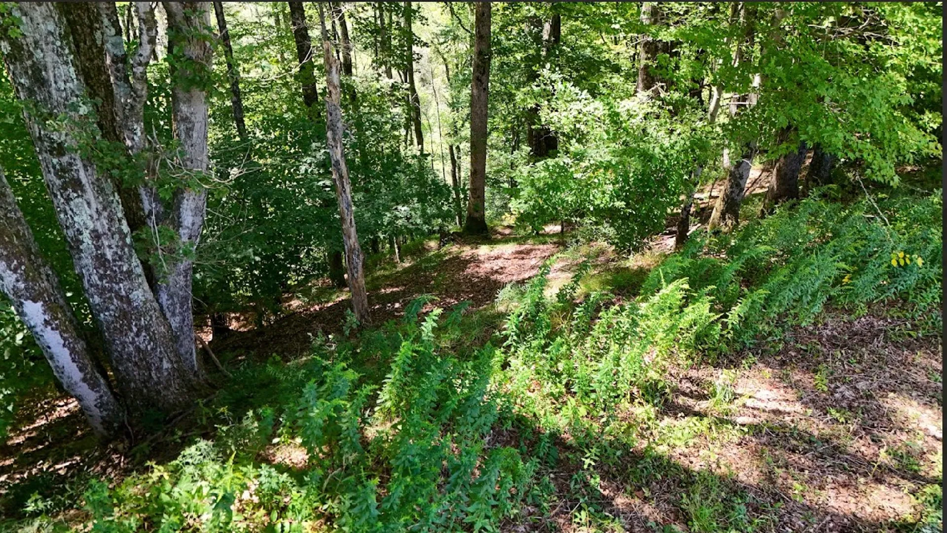 Property at 100 Pomeroy Road, Franklin, NY 13775 10