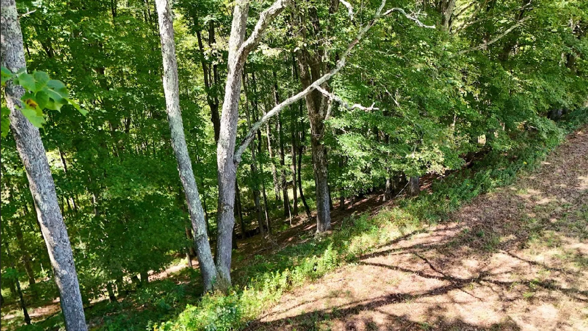Property at 100 Pomeroy Road, Franklin, NY 13775 11