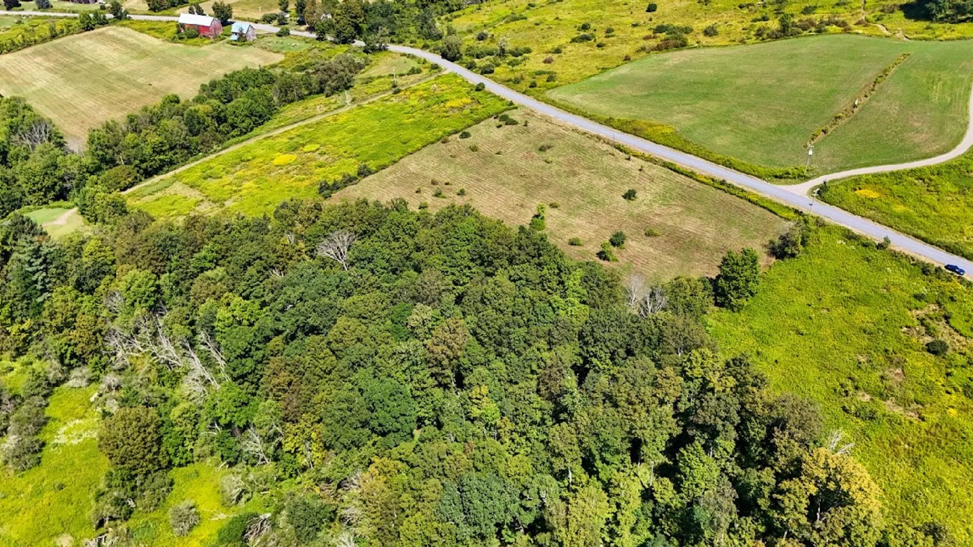 Property at 100 Pomeroy Road, Franklin, NY 13775 13