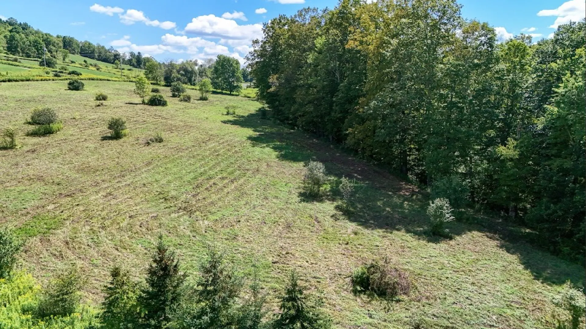 Property at 100 Pomeroy Road, Franklin, NY 13775 7