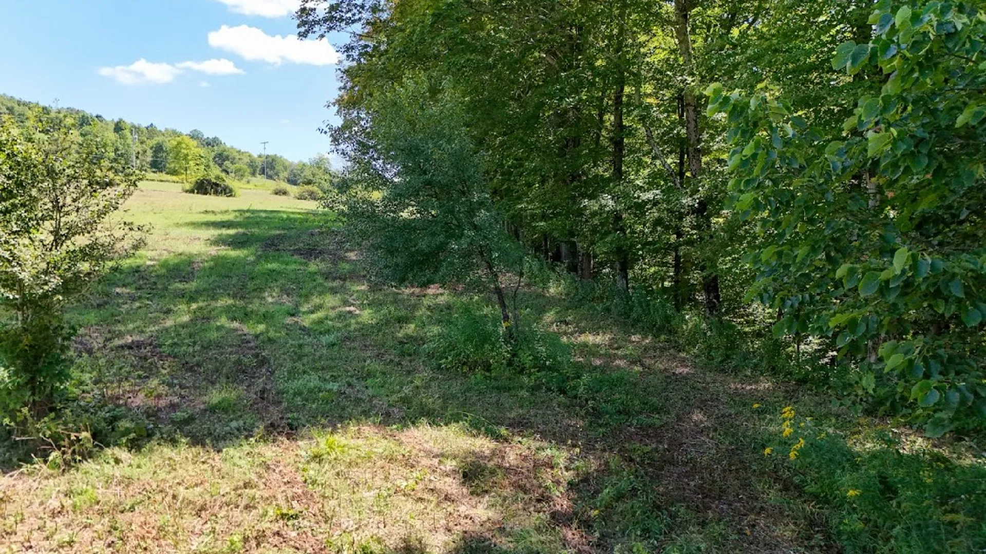 Property at 100 Pomeroy Road, Franklin, NY 13775 9