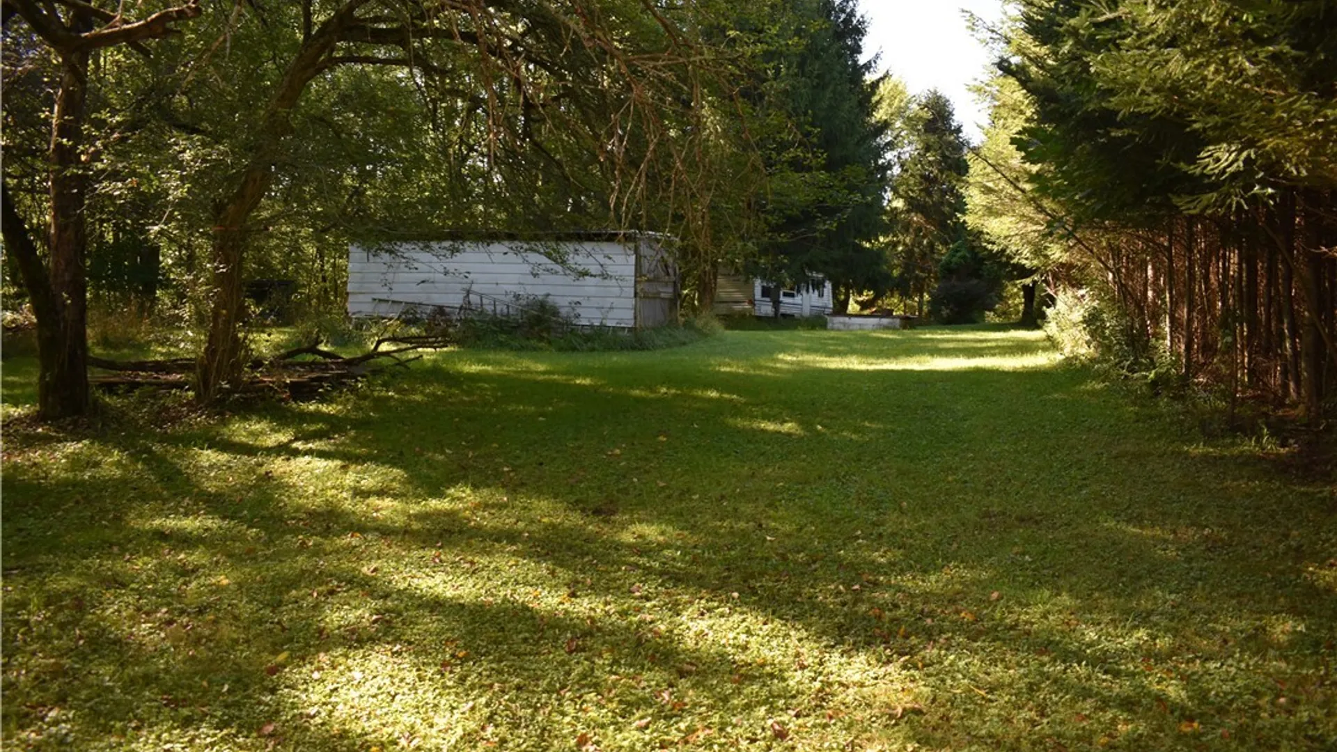 Property at 9190 Ball Road, Otto, NY 14719 10