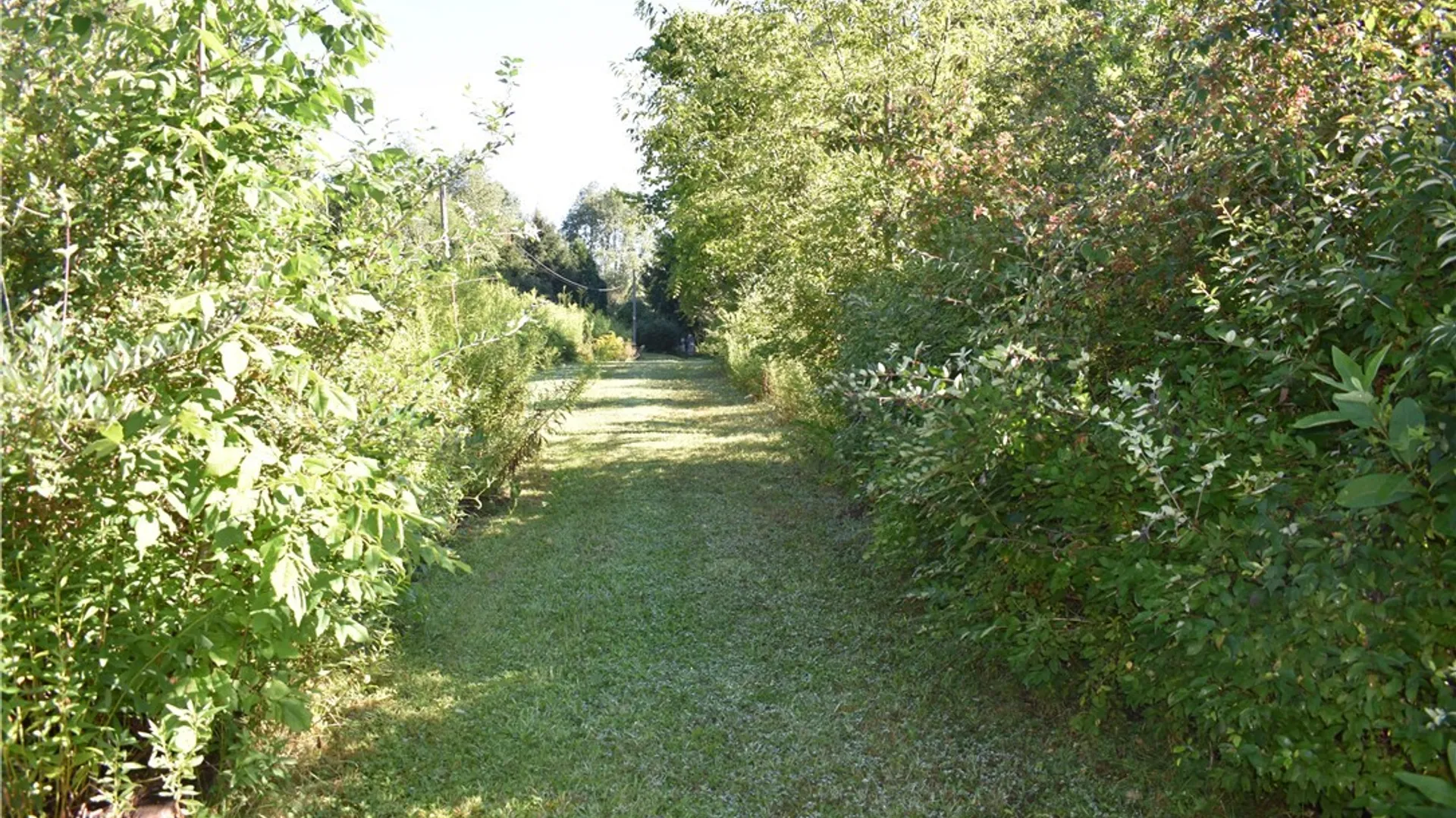 Property at 9190 Ball Road, Otto, NY 14719 11