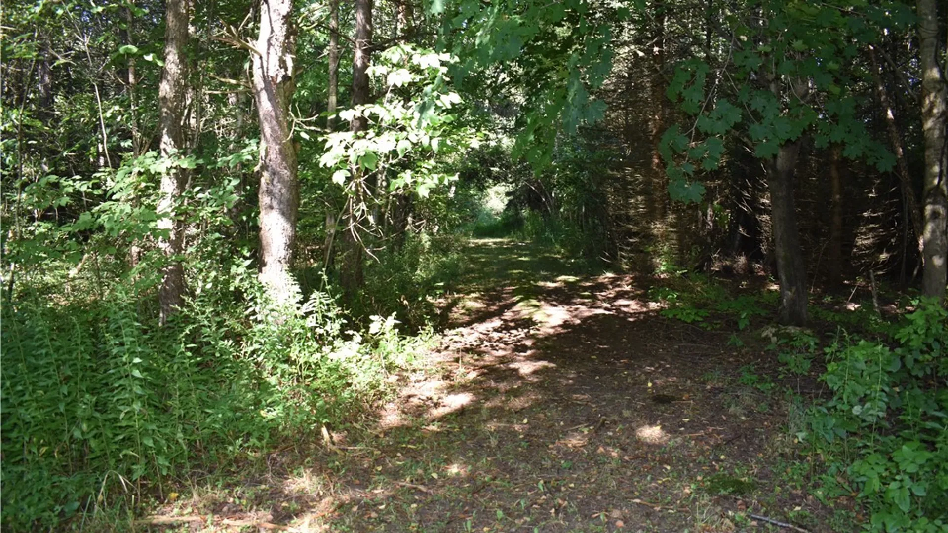 Property at 9190 Ball Road, Otto, NY 14719 12