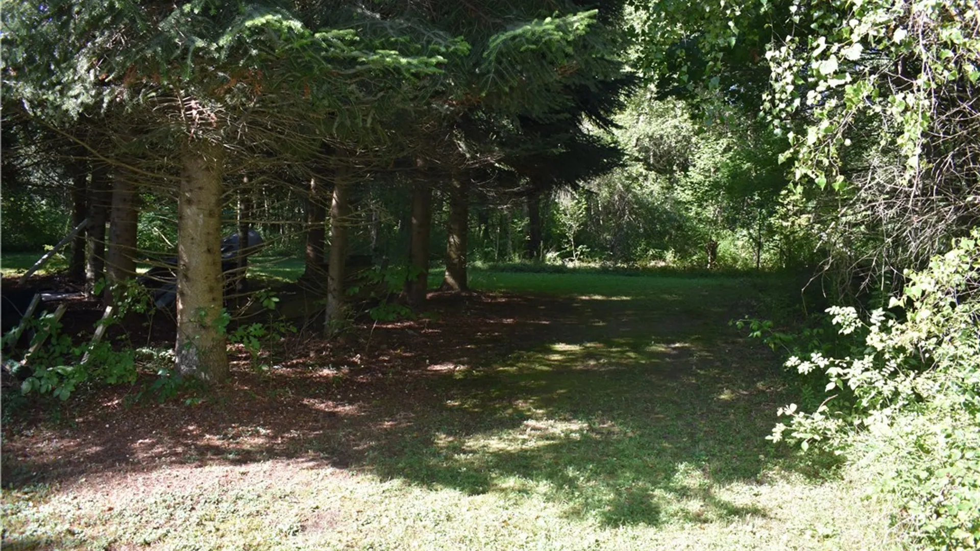 Property at 9190 Ball Road, Otto, NY 14719 17