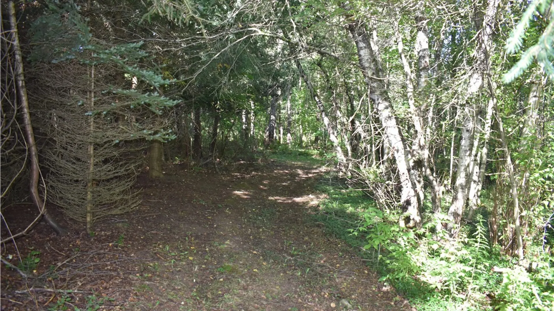 Property at 9190 Ball Road, Otto, NY 14719 18