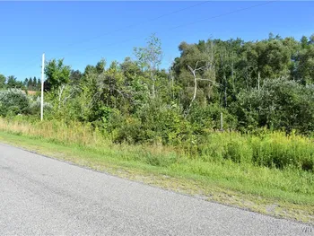 Property at 9190 Ball Road, Otto, NY 14719