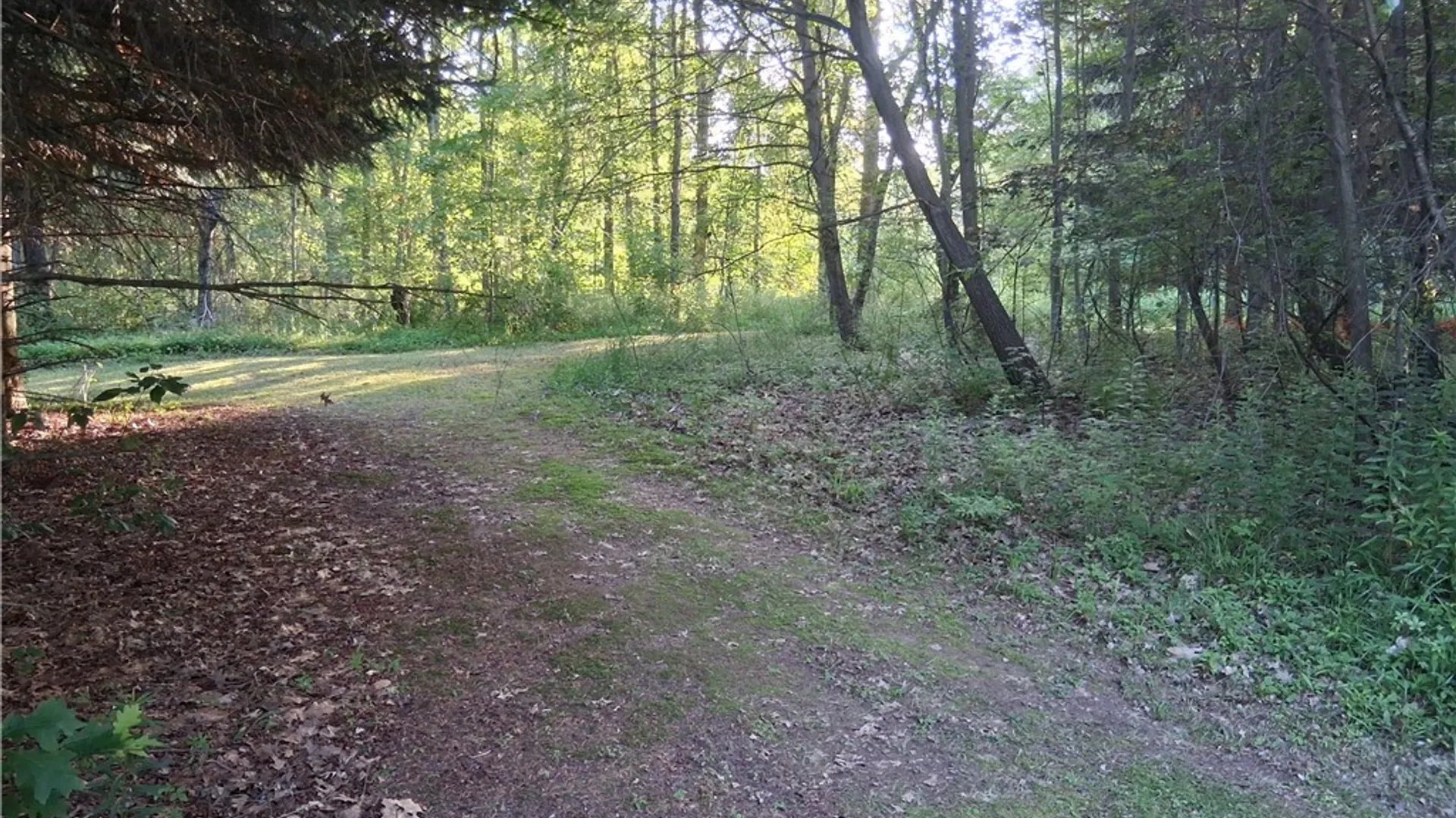 Property at 9190 Ball Road, Otto, NY 14719 26
