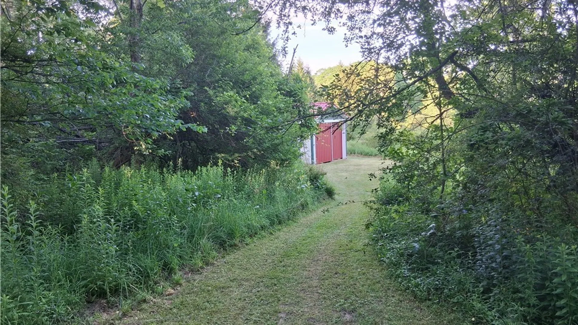 Property at 9190 Ball Road, Otto, NY 14719 27
