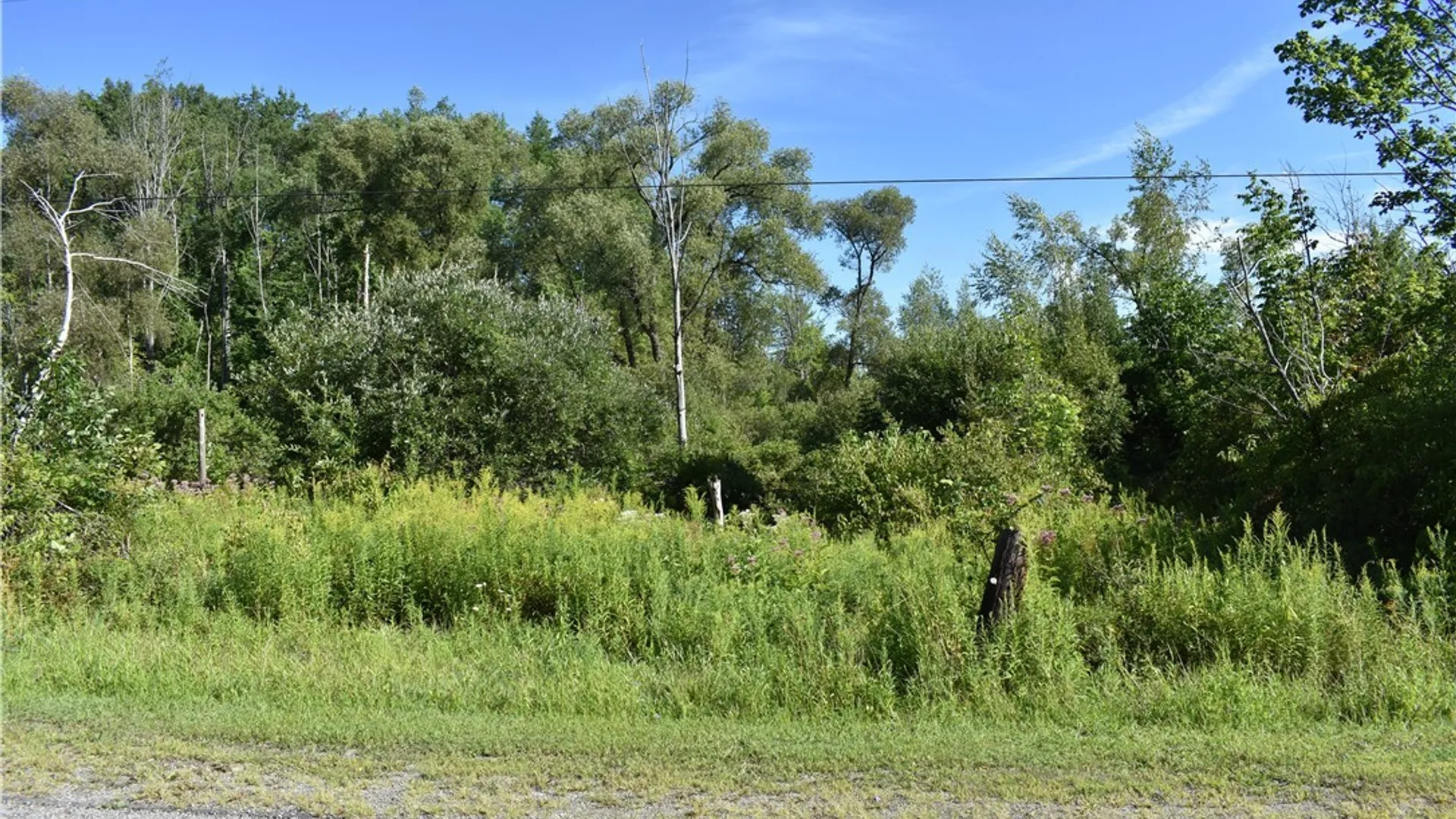 Property at 9190 Ball Road, Otto, NY 14719 3