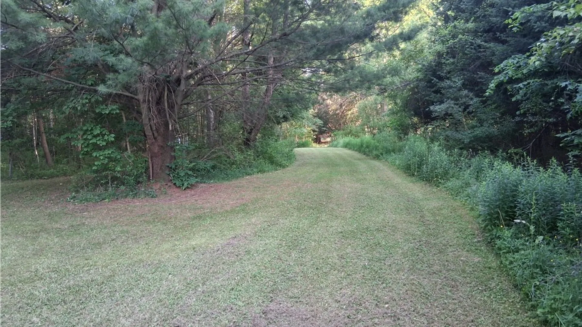 Property at 9190 Ball Road, Otto, NY 14719 30