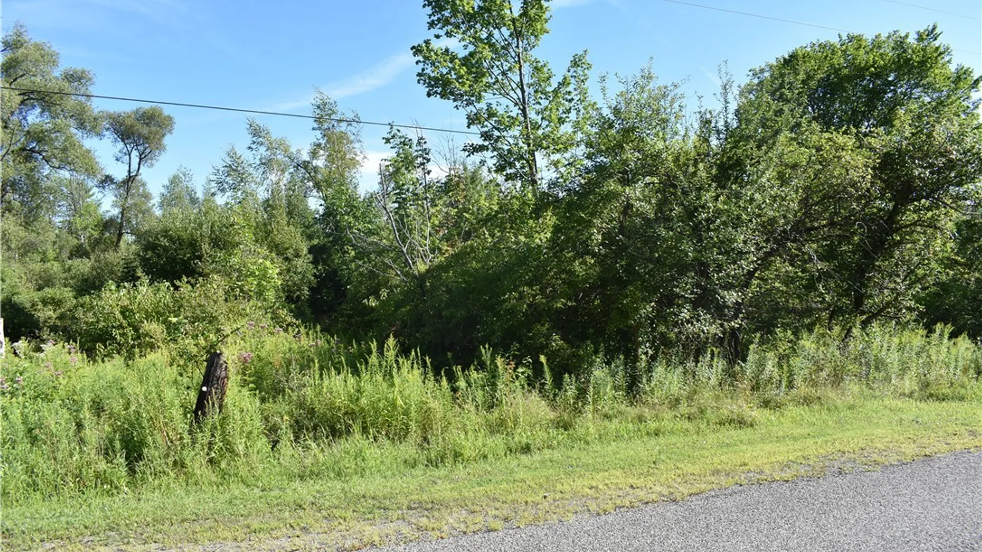 Property at 9190 Ball Road, Otto, NY 14719 4
