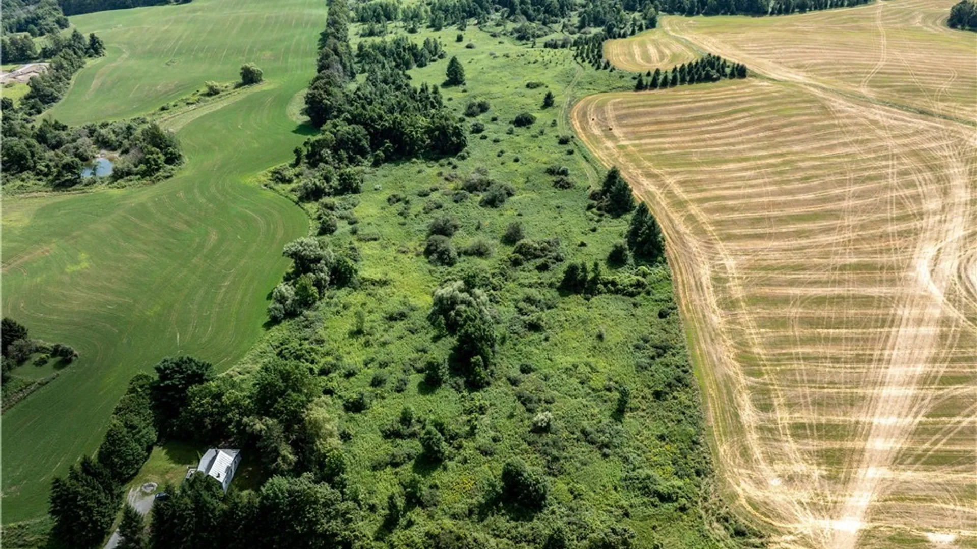 Property at Cody Road, Fenner, NY 13035 3