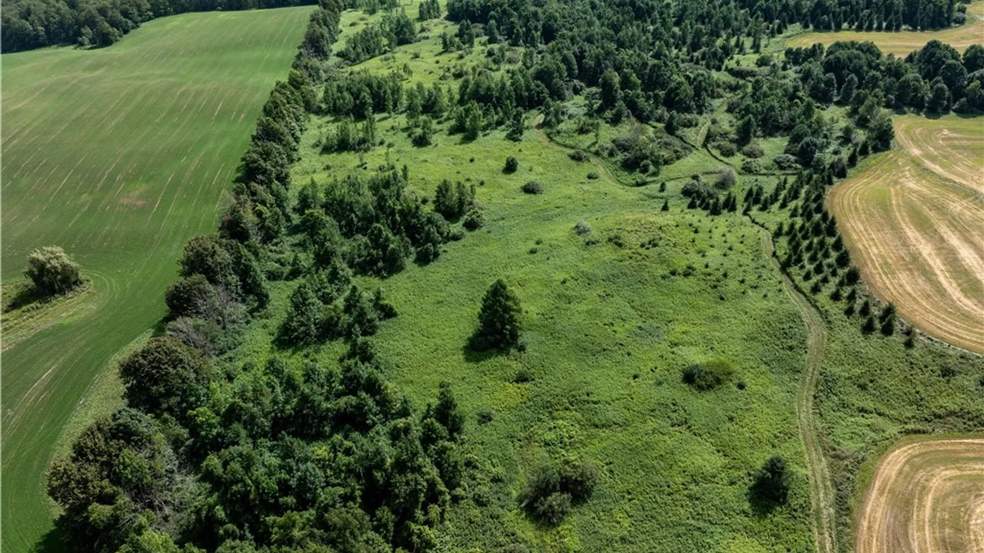 Property at Cody Road, Fenner, NY 13035 4