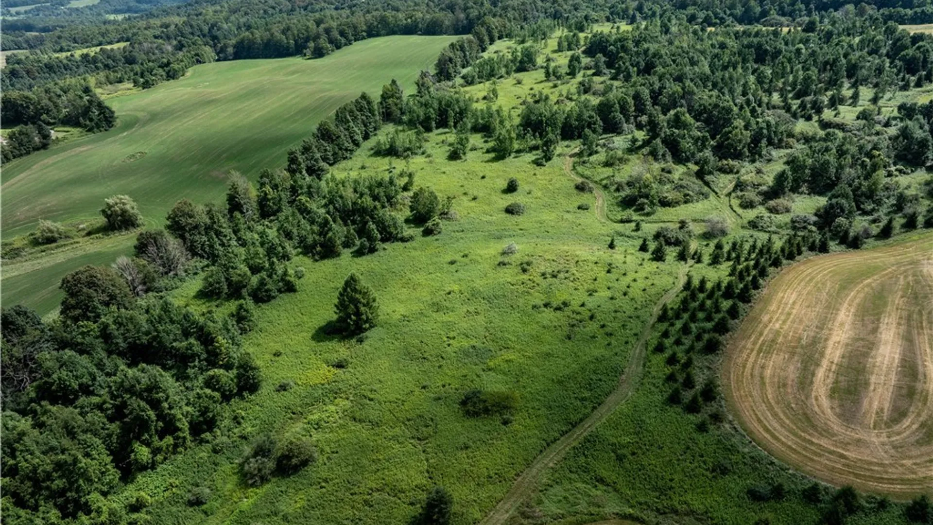 Property at Cody Road, Fenner, NY 13035 5