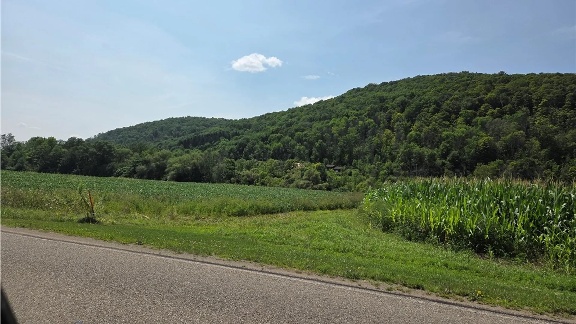 Property at Martin Road, Great Valley, NY 14741 4