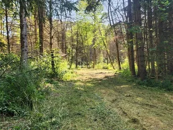 Property at 6984 Bowers Road, Stockton, NY 14718