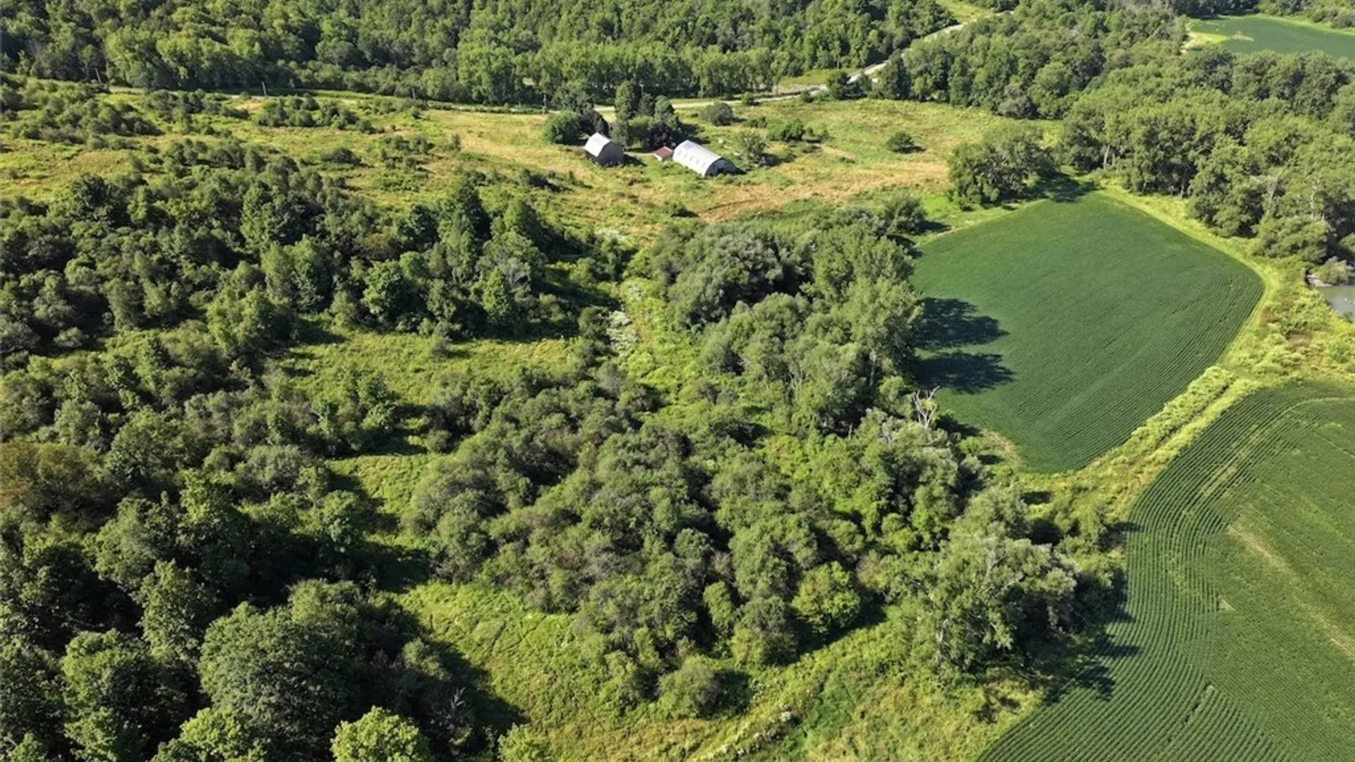 Property at 6558 Thomas Corners Road, Ashford, NY 14171 11