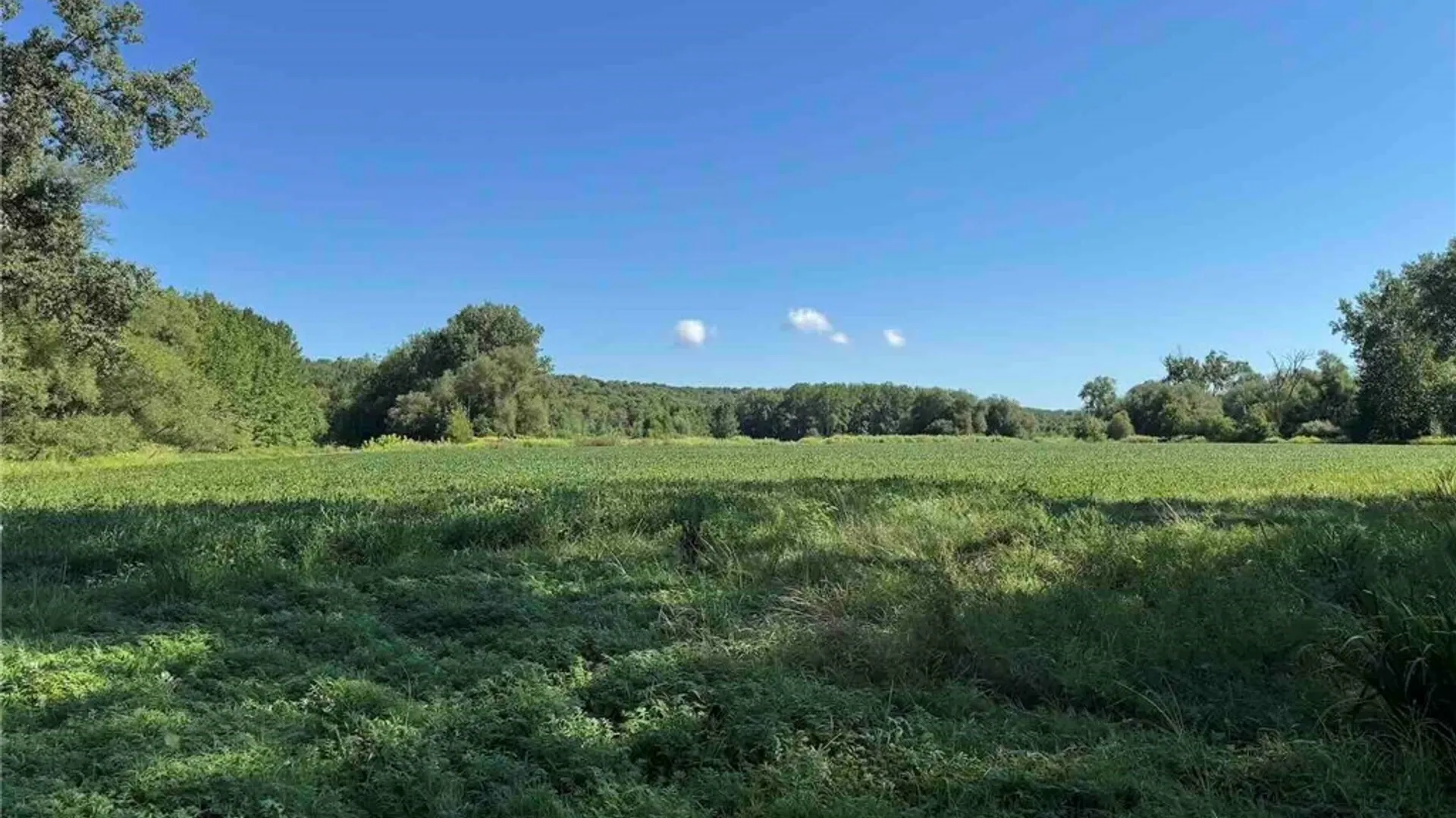 Property at 6558 Thomas Corners Road, Ashford, NY 14171 38