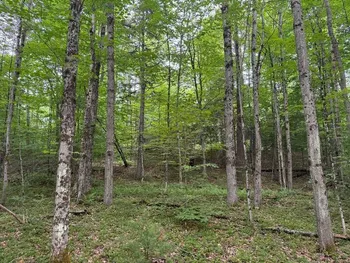 Property at 1.1 Dutch Hill Rd. Spur, Cincinnatus, NY 13040