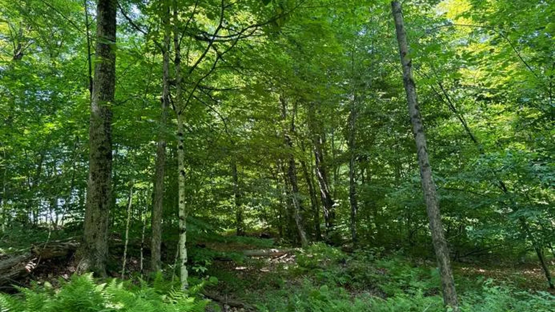 Property at 1.1 Dutch Hill Rd. Spur, Cincinnatus, NY 13040 7