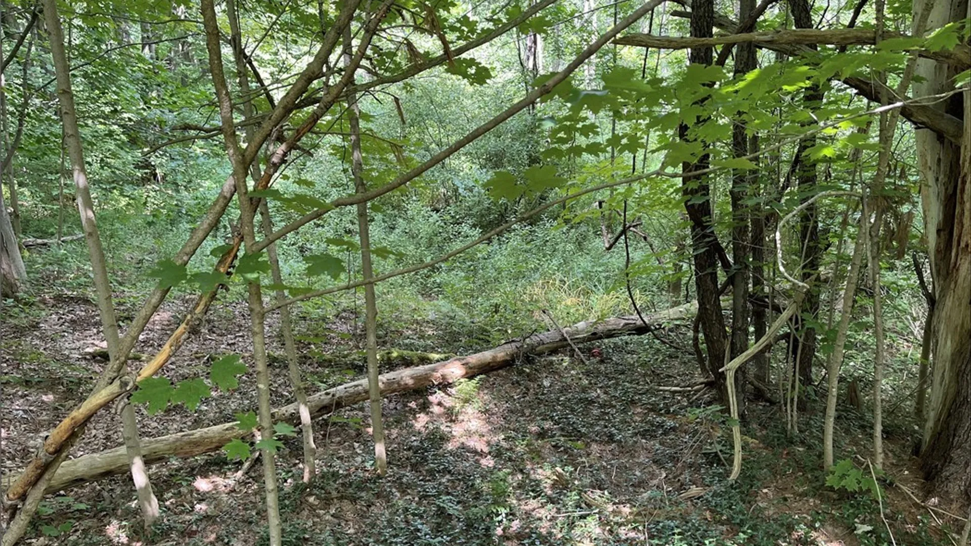 Property at 356 Lower Road, Constantia, NY 13044 10