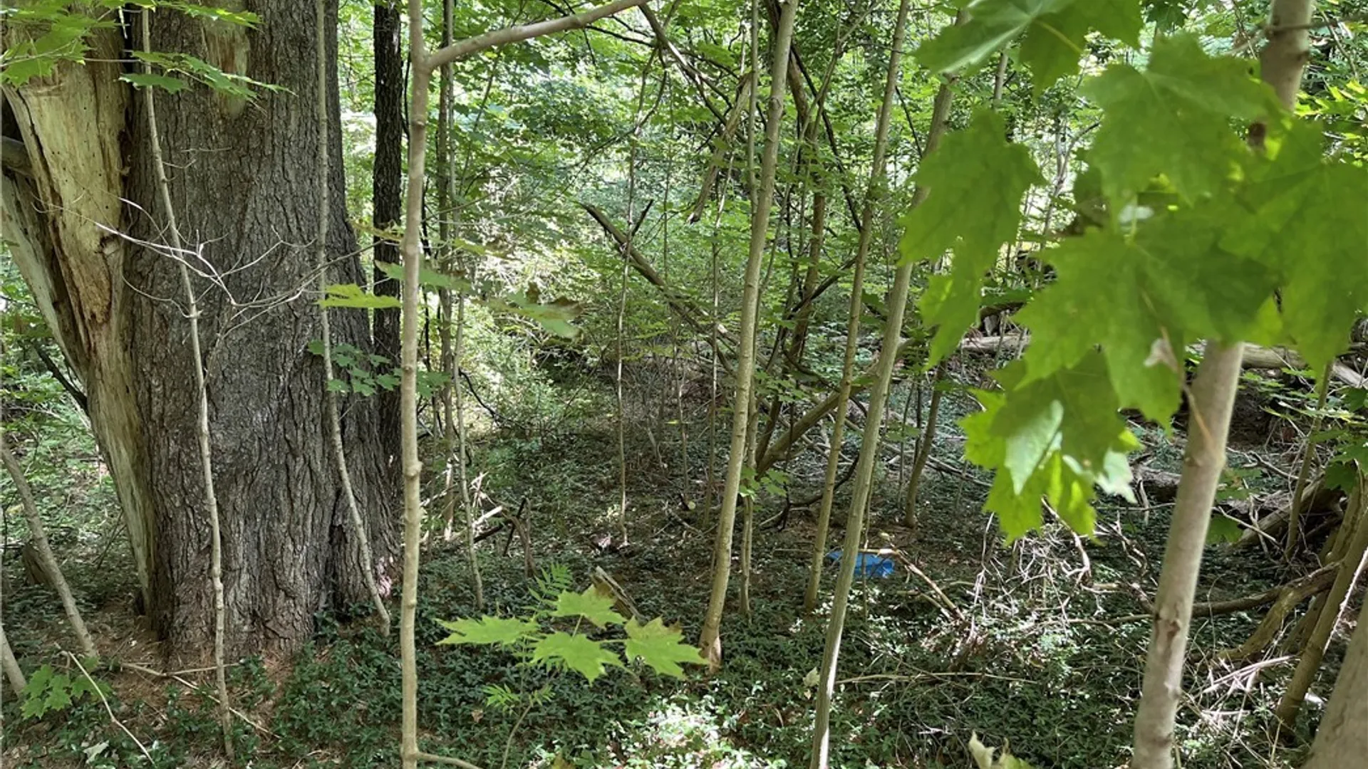 Property at 356 Lower Road, Constantia, NY 13044 8