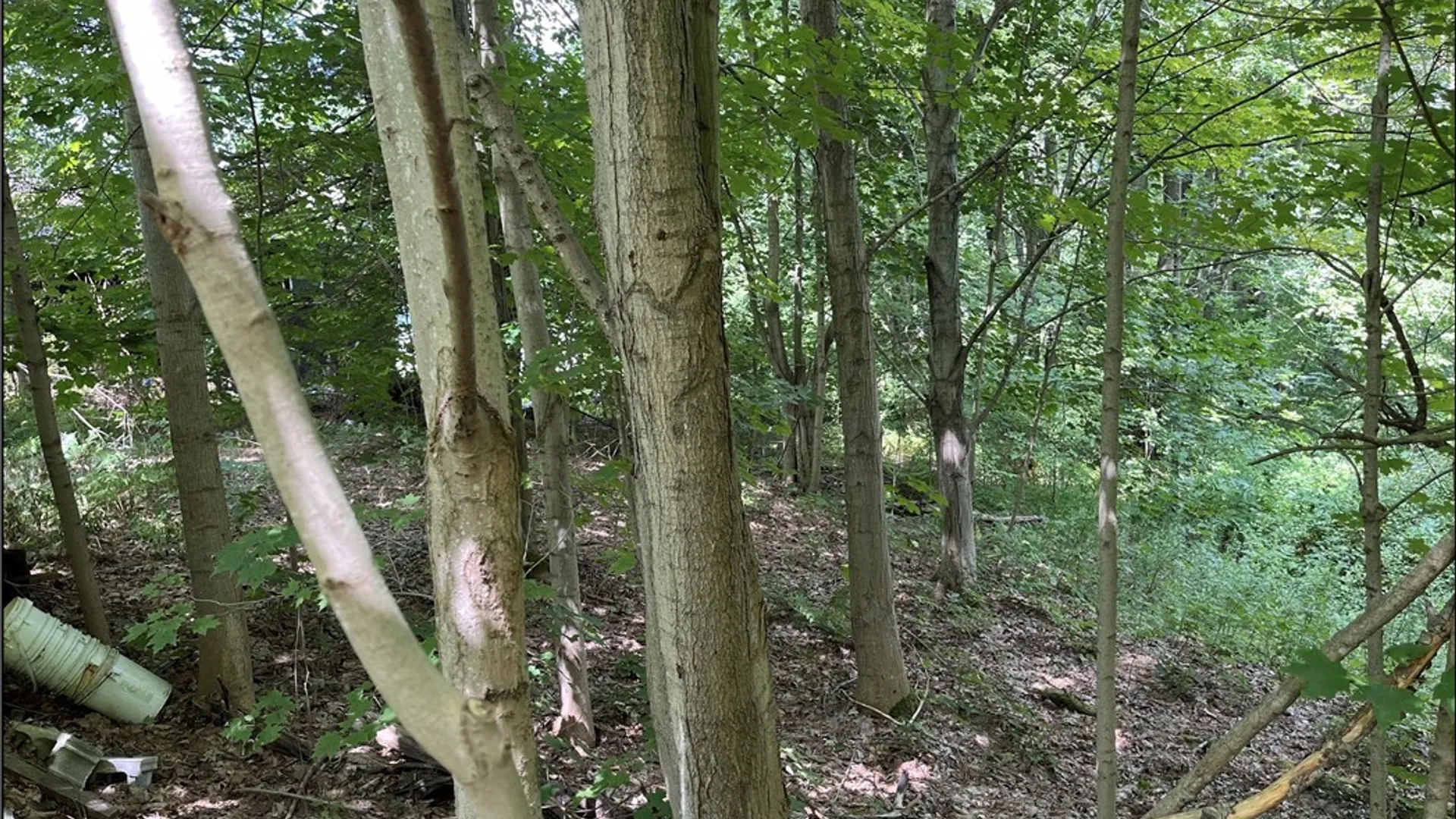 Property at 356 Lower Road, Constantia, NY 13044 9