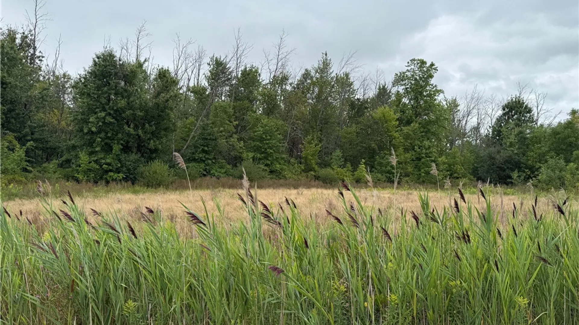 Property at VL Jagow Road, Wheatfield, NY 14304 8