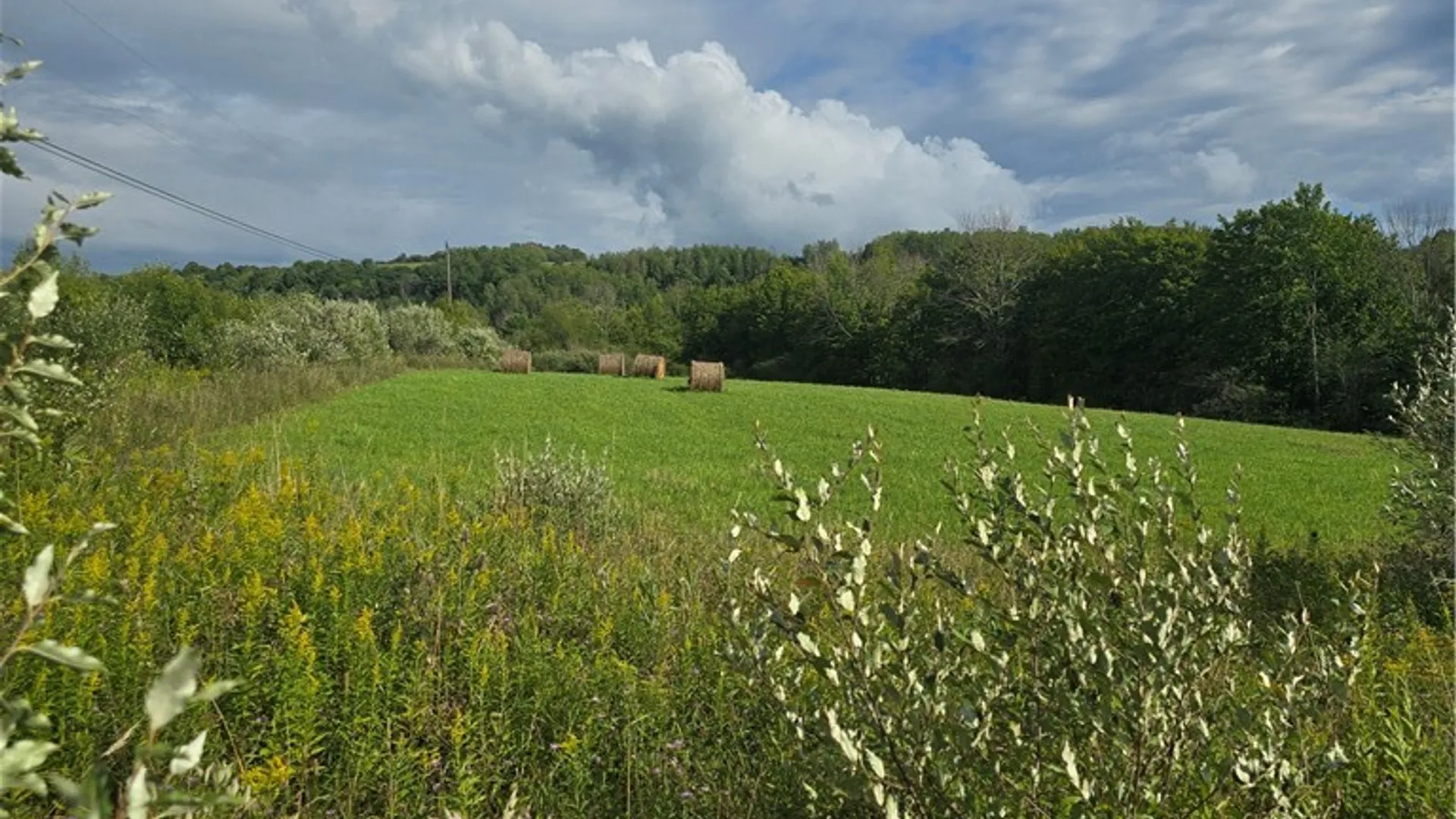 Property at Potter Road, Jasper, NY 14855 10