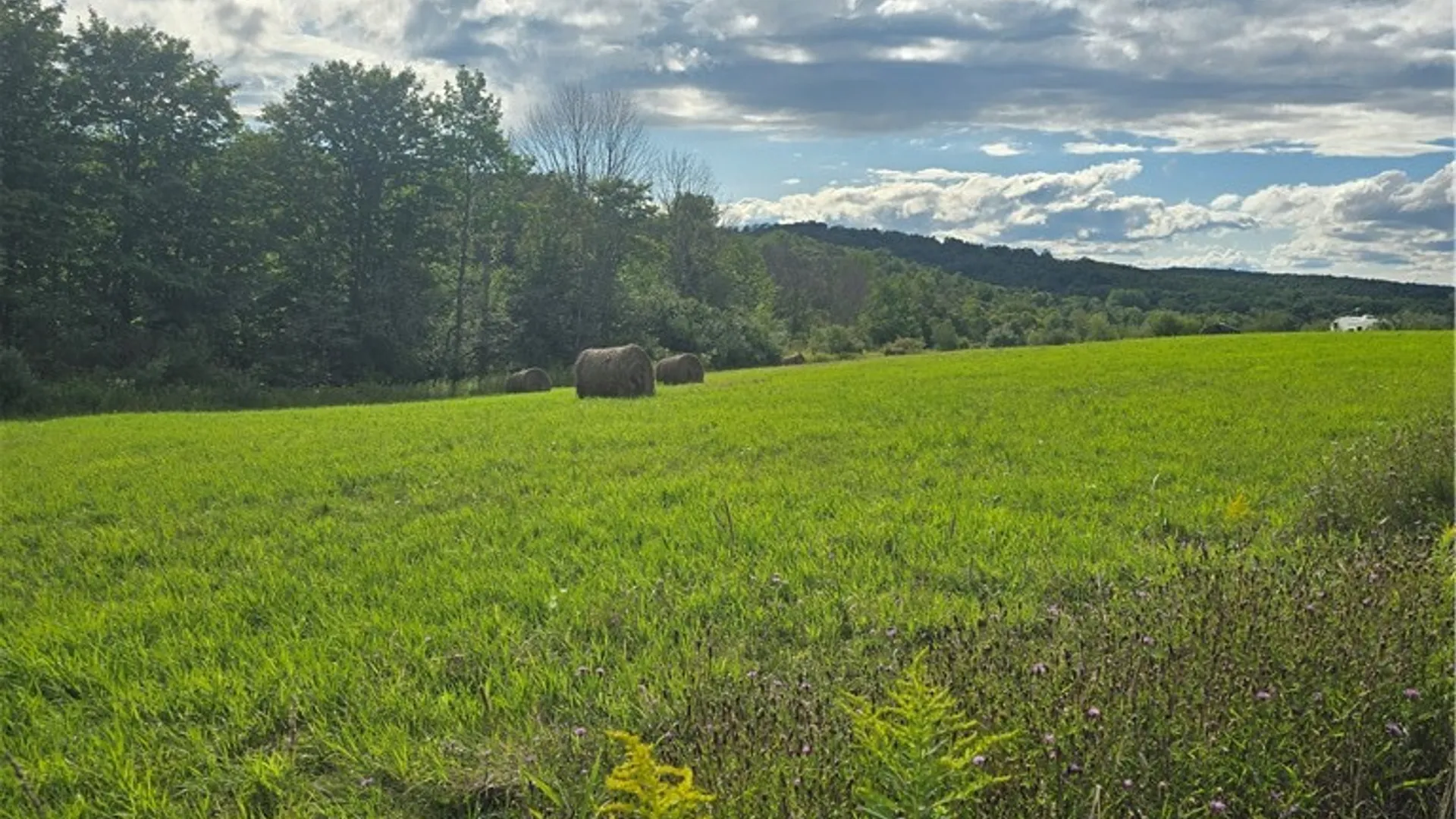 Property at Potter Road, Jasper, NY 14855 11