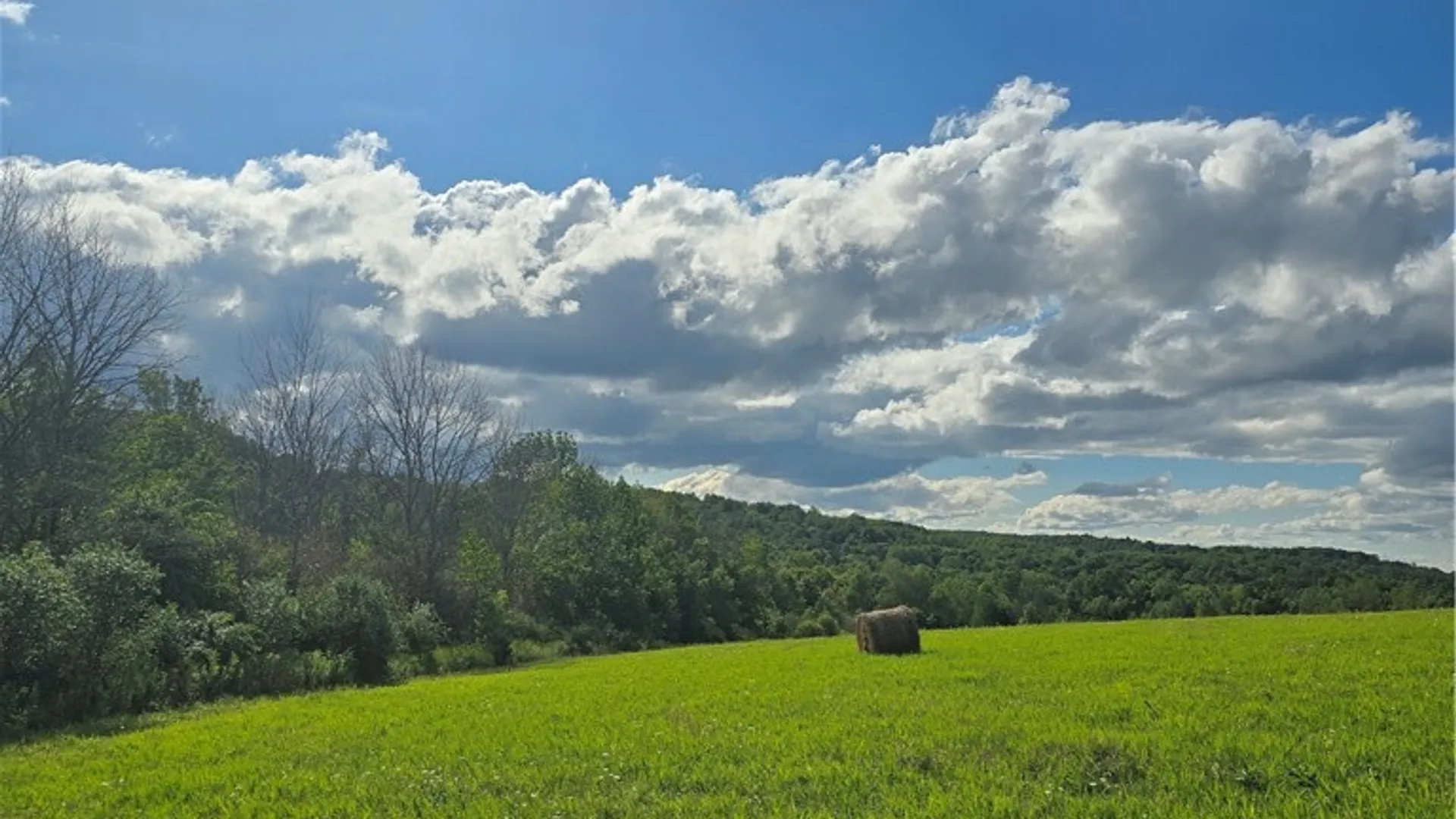 Property at Potter Road, Jasper, NY 14855 9