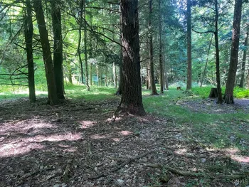 Property at State Route 244, Ward, NY 14813