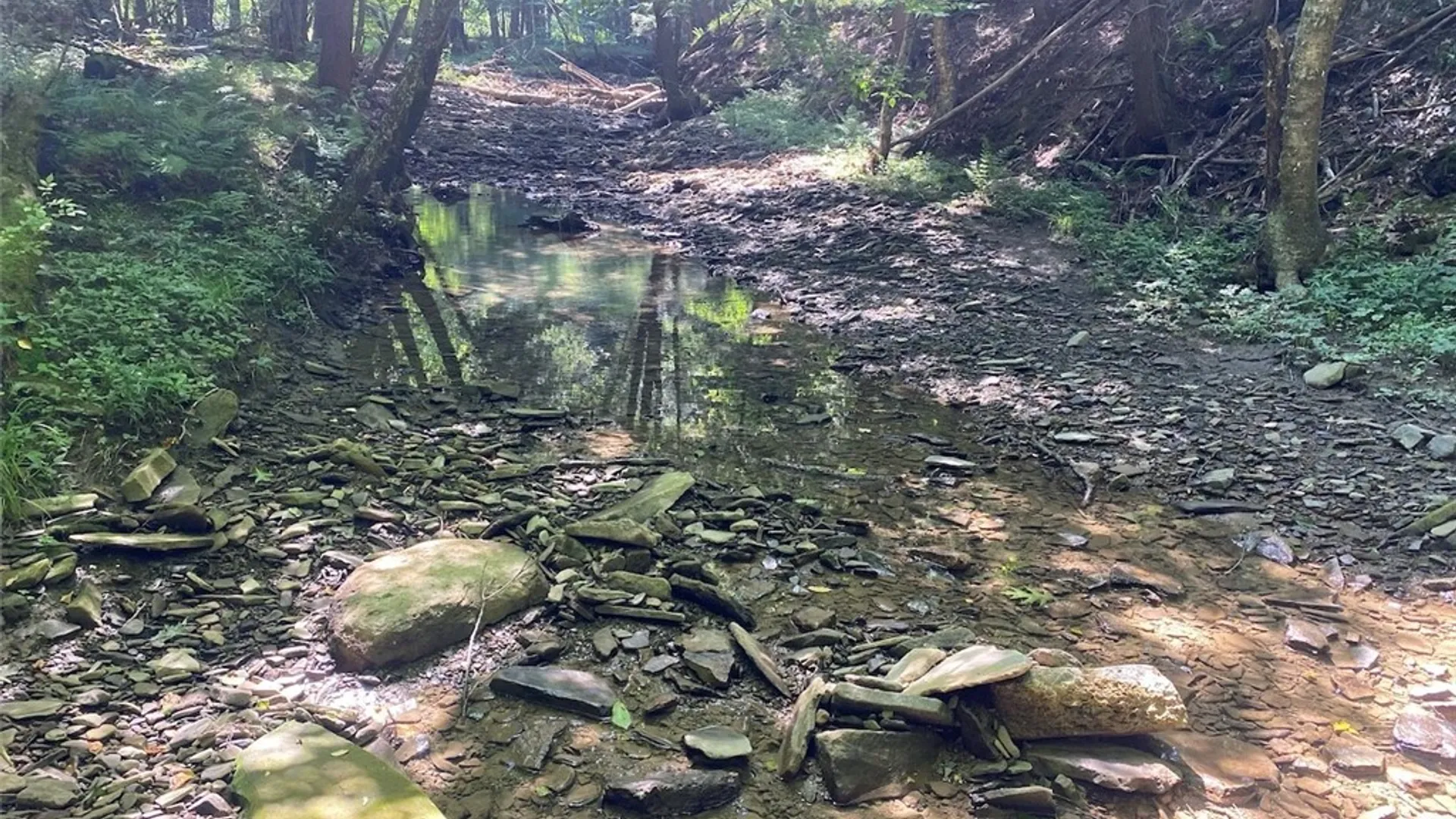 Property at State Route 244, Ward, NY 14813 8