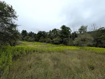 Property at State Route 417, Woodhull, NY 14898