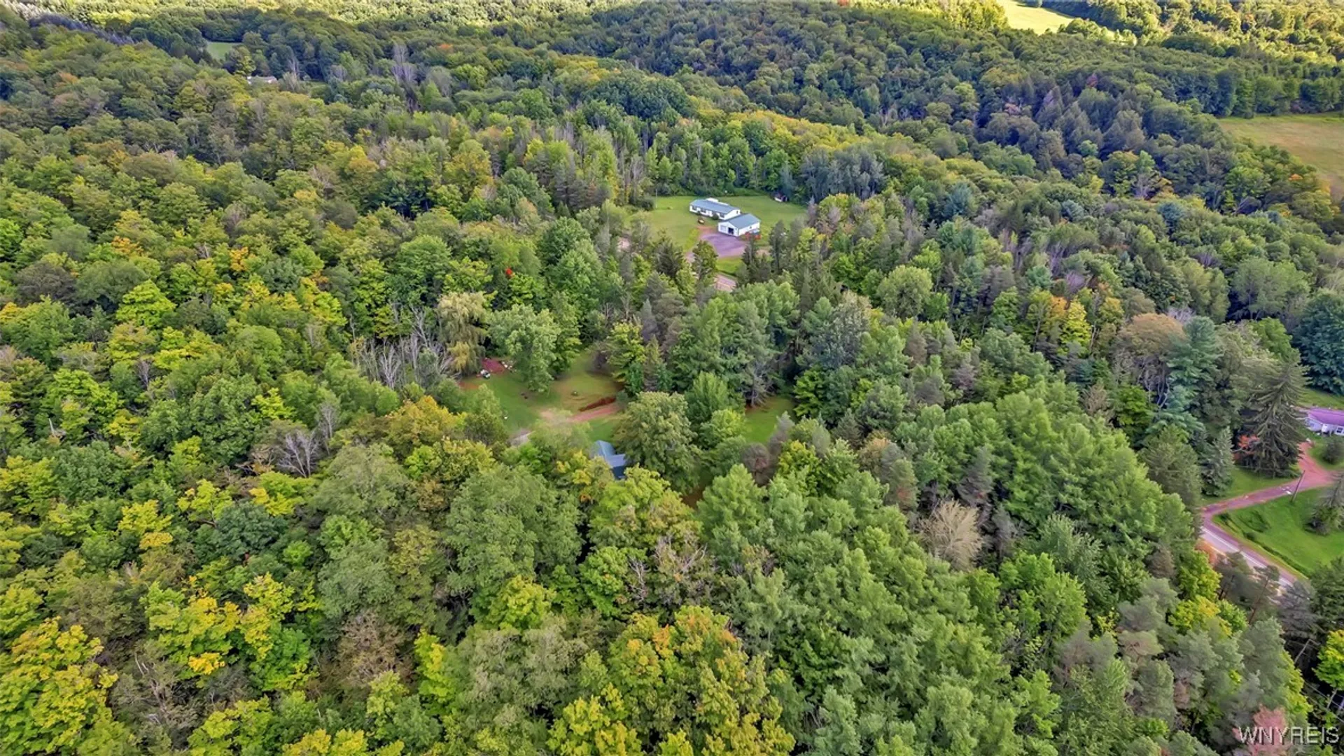 Property at 9425 Peck Hill Road, Dayton, NY 14070 45