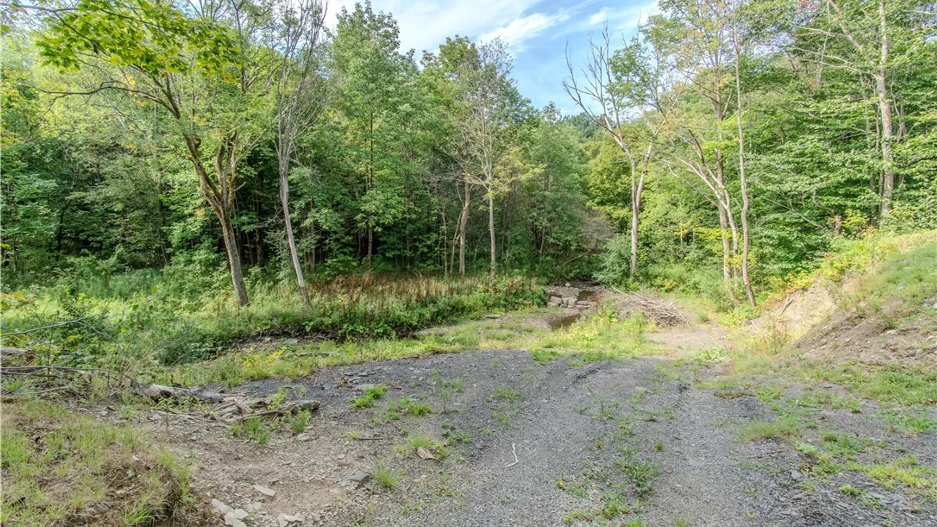Property at 672 Pinckney Road, Pinckney, NY 13682 38