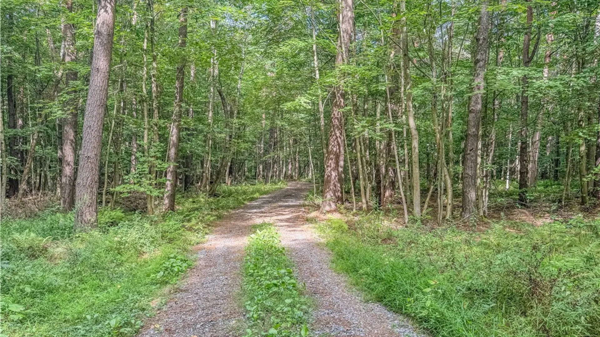Property at 672 Pinckney Road, Pinckney, NY 13682 49