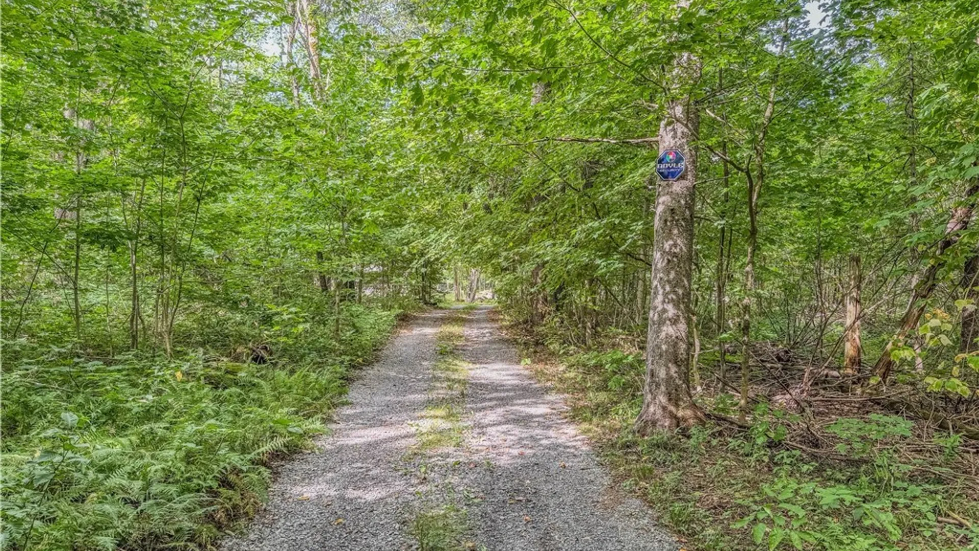 Property at 672 Pinckney Road, Pinckney, NY 13682 50