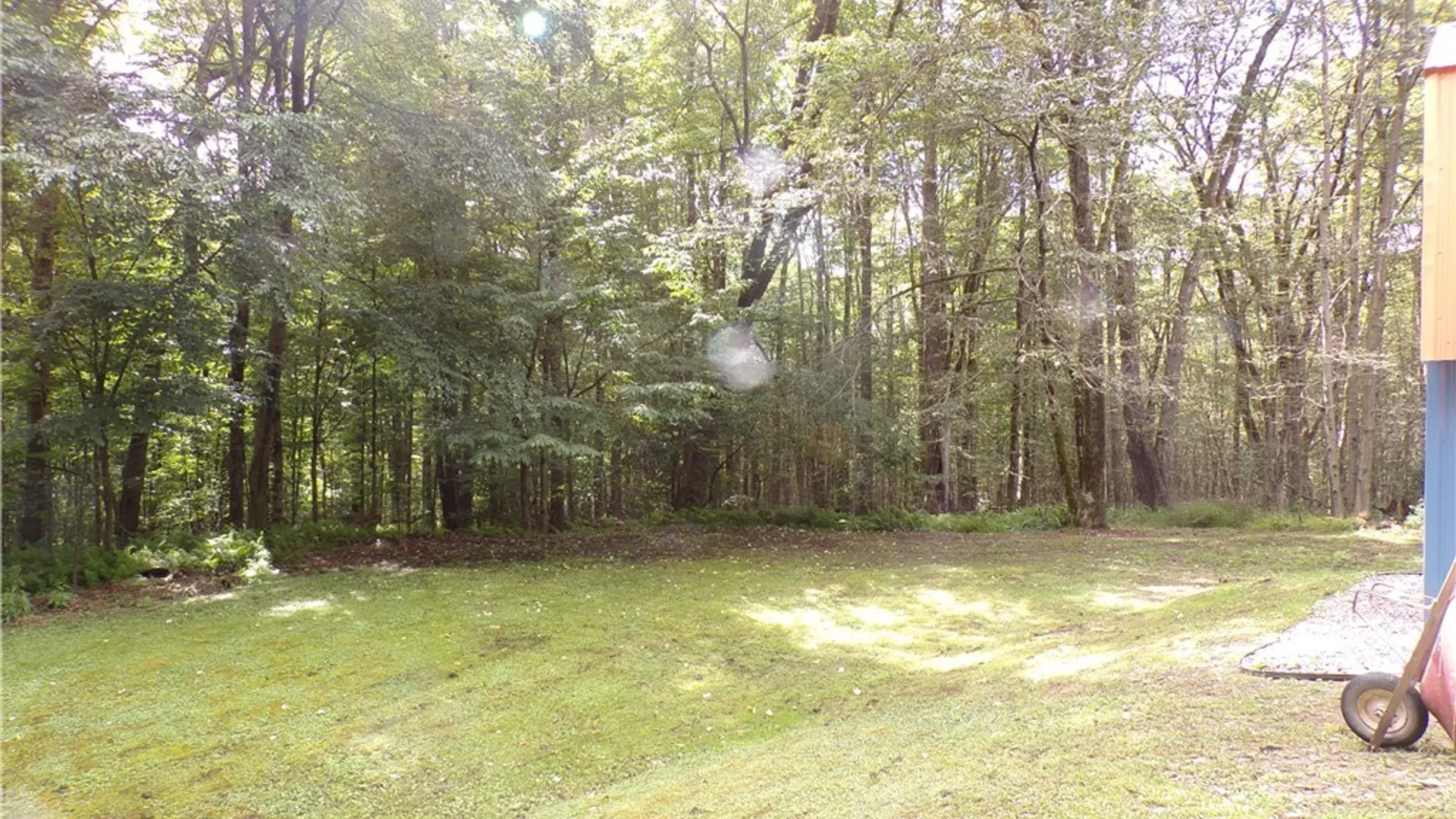 Property at 9240 Hoyett Road, Clarksville, NY 14727 8