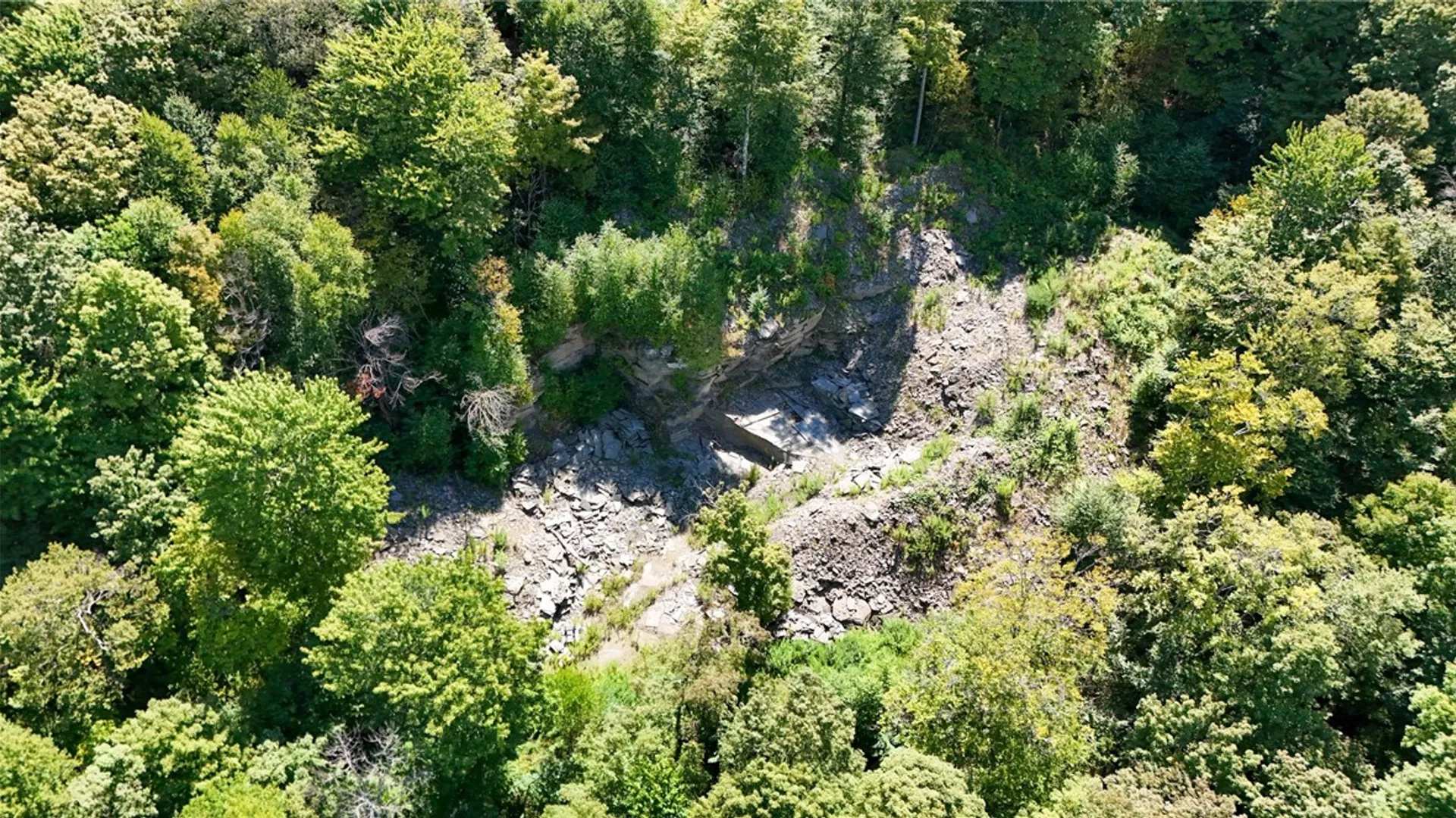 Property at 0 Bullock Hill Road, Tompkins, NY 13839 10