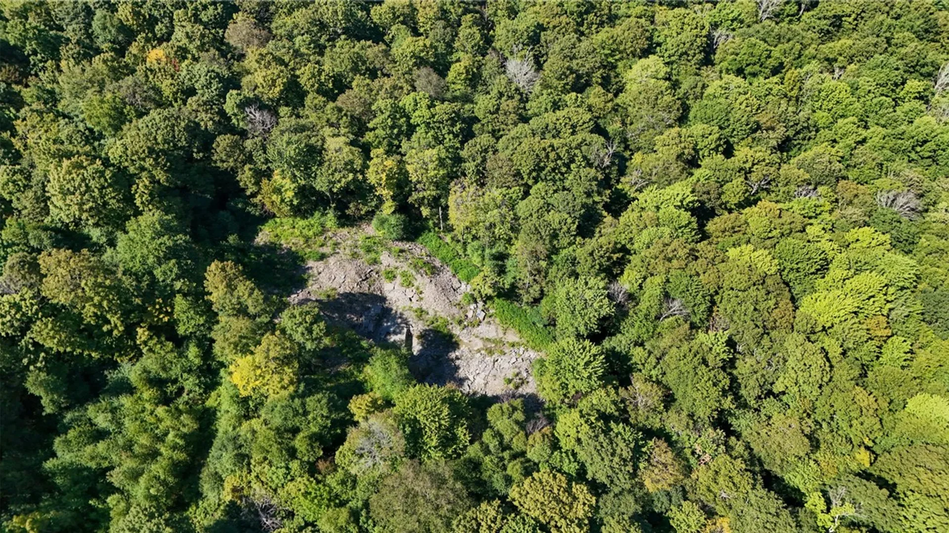 Property at 0 Bullock Hill Road, Tompkins, NY 13839 11